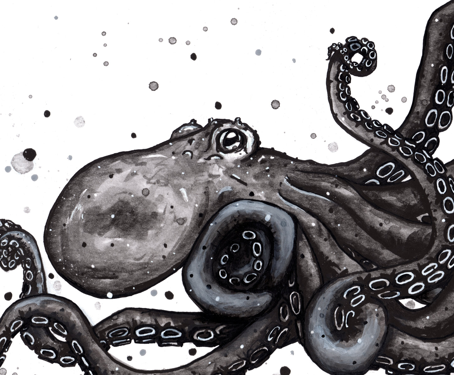 Fine Art Prints - "The Mighty Atlantic Octopus" Octopus Illustration Art Prints - Black & White Octopus, Nautical Art, Sea life Decorative Wall Art