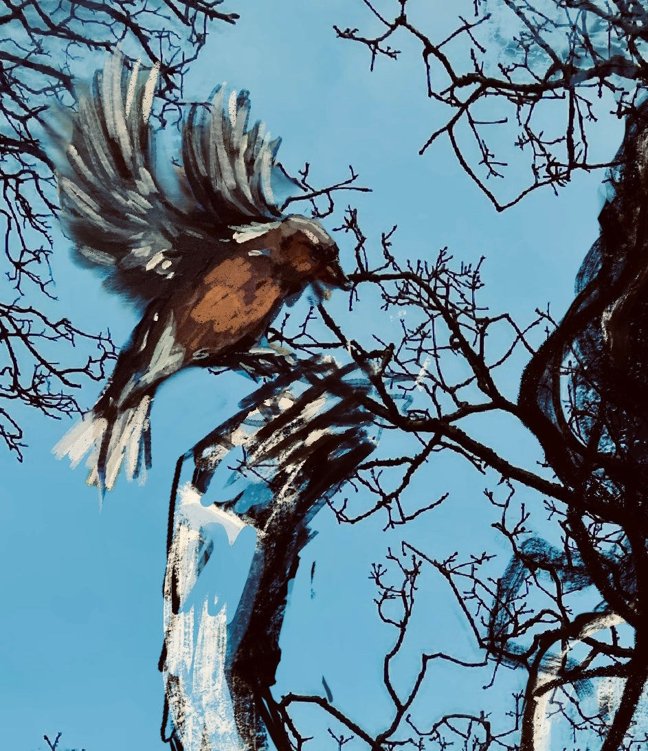 Fine Art Prints, "Ostara" Goddess Art Prints
