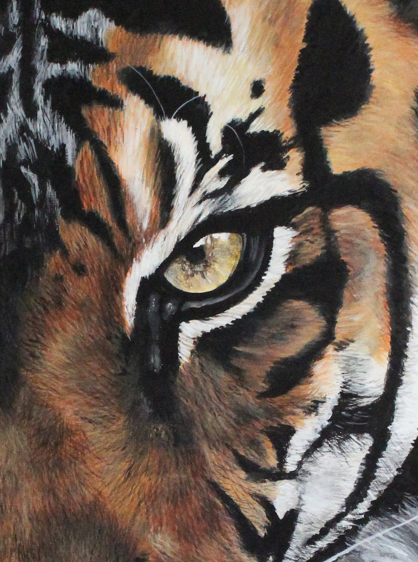 Original Artwork "The Shadow" Acrylic on 30 x 40 inch canvas