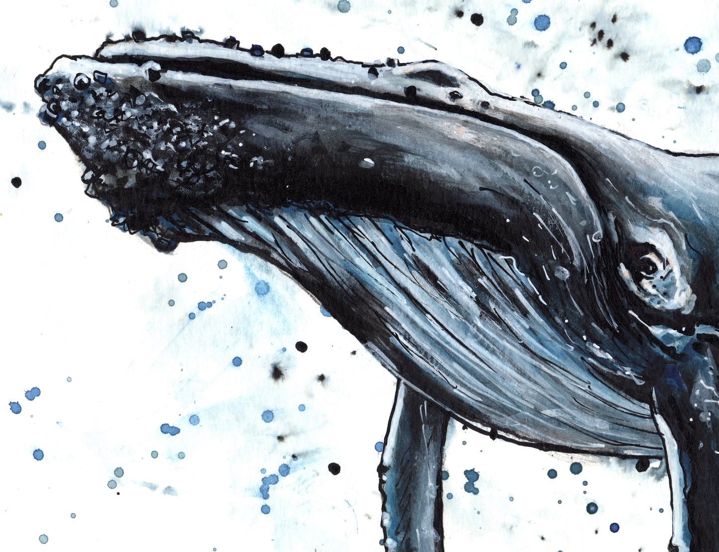 Fine Art Prints - "Wisdom of the Whale" Humpback Whale Art Prints - Nautical Art, Sea life Decorative Wall Art