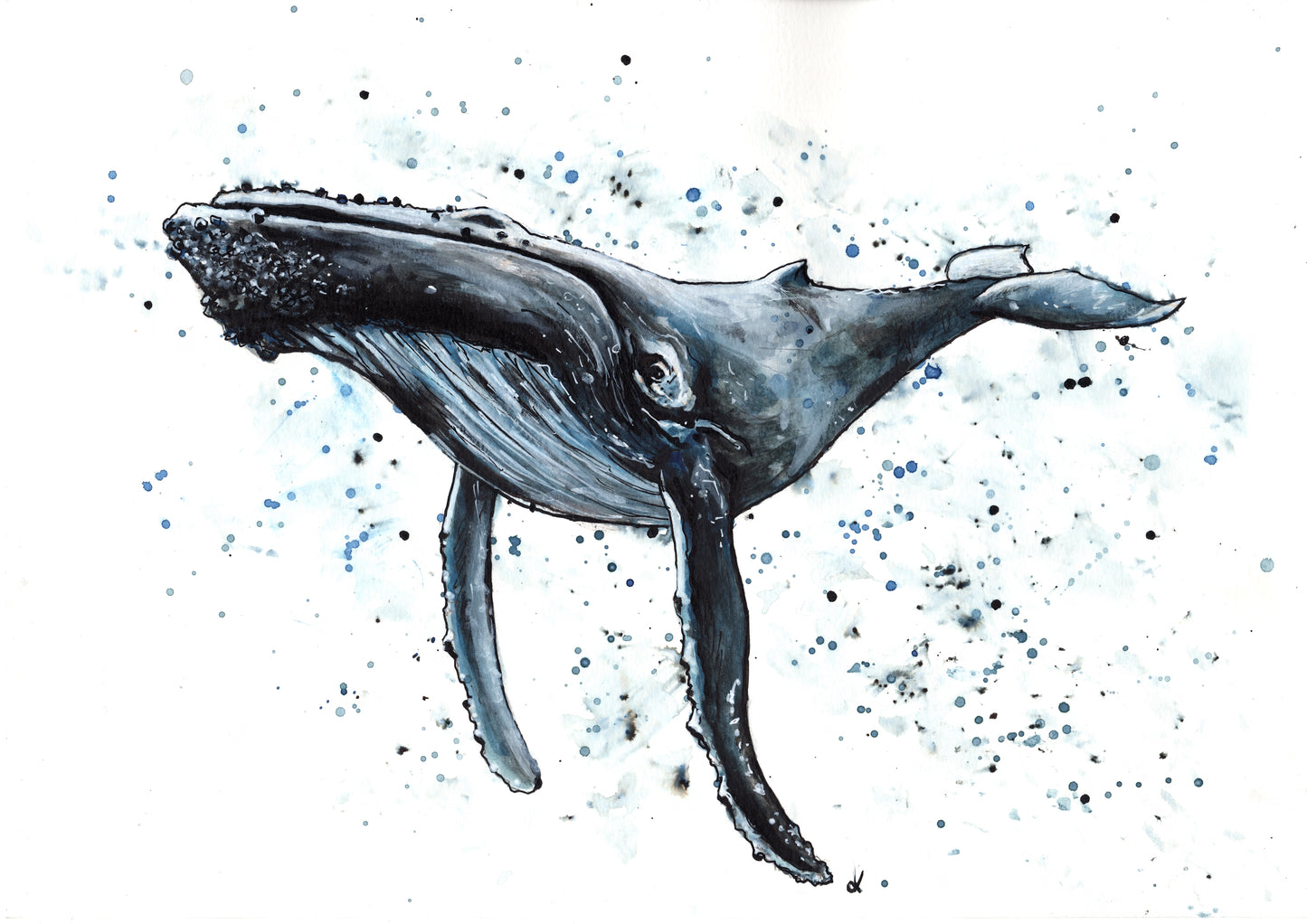 Fine Art Prints - "Wisdom of the Whale" Humpback Whale Art Prints - Nautical Art, Sea life Decorative Wall Art