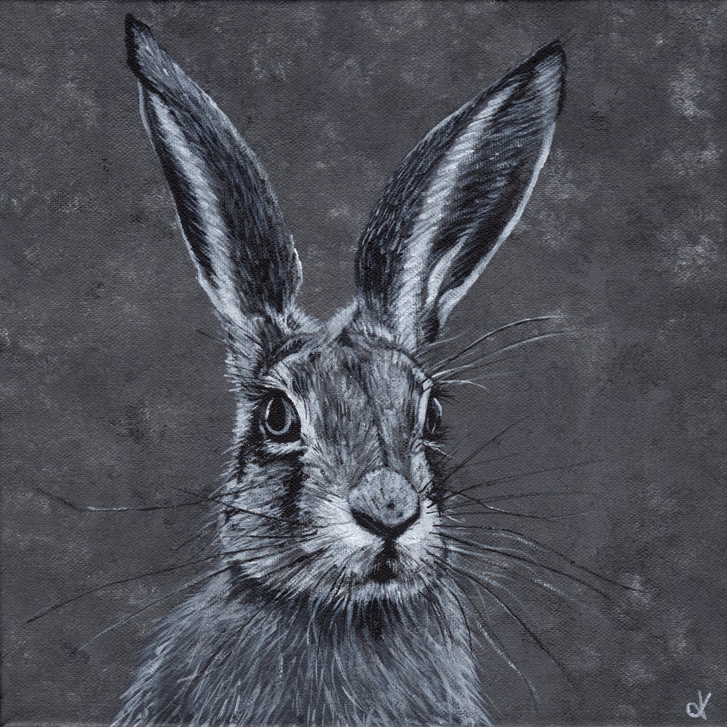 Original Artwork "Steady Hare" Acrylic on 30 x 30 cm canvas