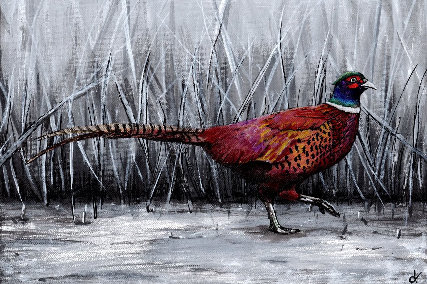 Original Artwork "Iridescent Pheasant" Acrylic on 36 x 24 cm canvas