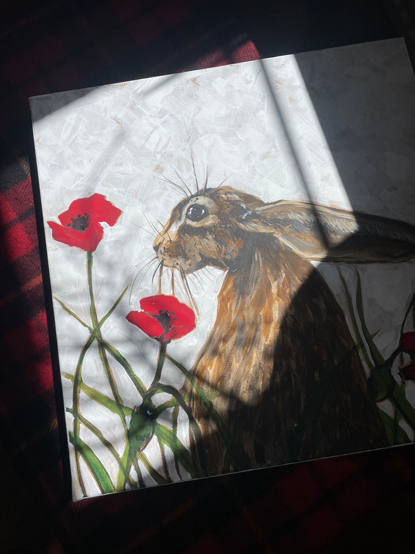 Original Artwork "Hoppy in the Poppies" Acrylic Hare painting on 40 x 40 cm canvas