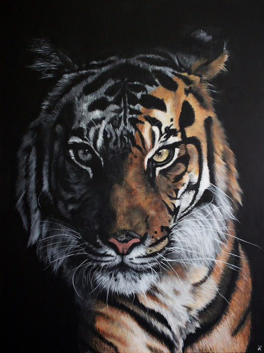 Fine Art Prints "The Shadow" Giclée Prints of Tiger Painting