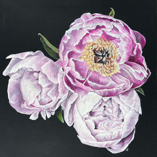 Fine Art Prints "Peaceful Peonies" by Dawn Victoria, Pink and White Peonies painting with Gold stamens, Peony art for Flower lovers