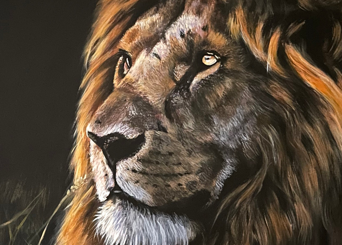 Fine Art Prints "Embers" Giclée Prints of Lion Painting, Male Lion Print