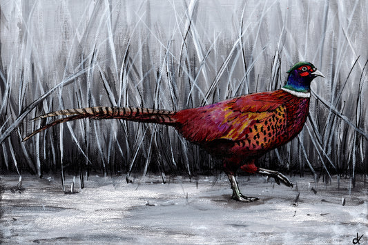 Original Artwork "Iridescent Pheasant" Acrylic on 36 x 24 cm canvas