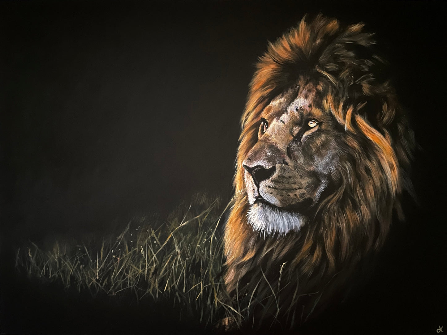 Fine Art Prints "Embers" Giclée Prints of Lion Painting, Male Lion Print