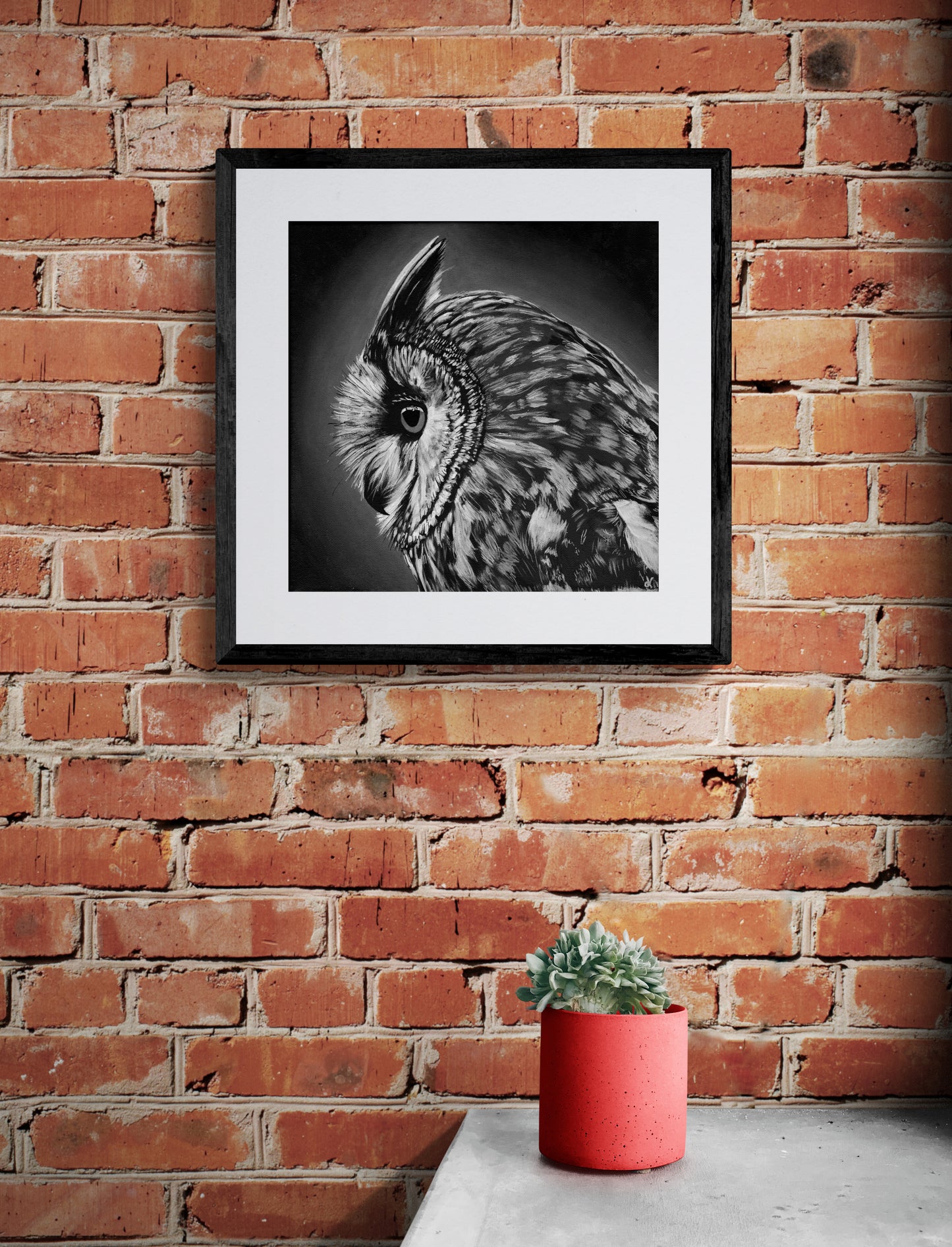 Fine Art Prints "Owlbert" Black & White Long eared Owl painting by Dawn Victoria, side profile Owls eye, birds of prey closeup art